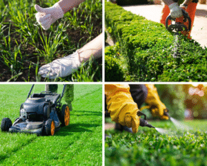 services maintenance