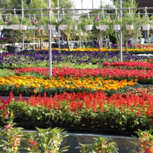 nursery1