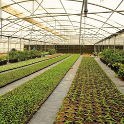 nursery3 (1)