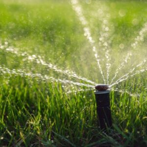 irriigation 1